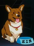 EIN EIN